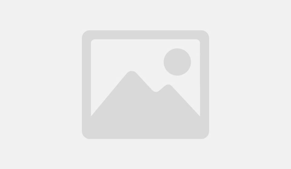 blank-00cc00_040004000